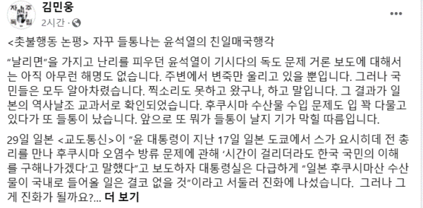 김민웅 교수 페이스북 캡처