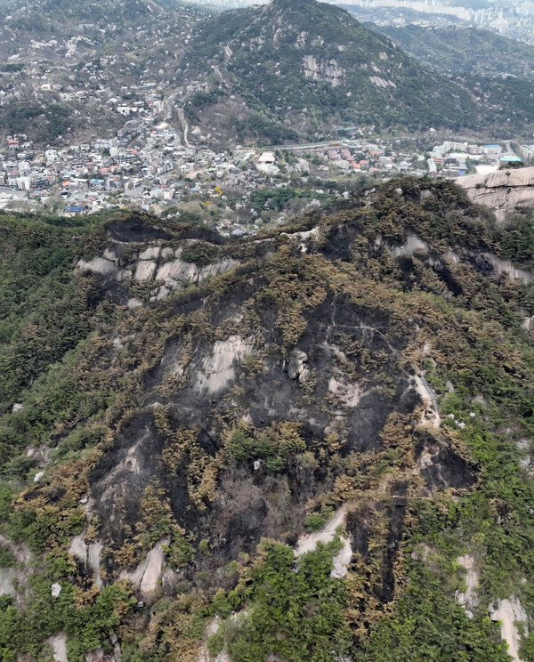  4일 오후 서울 인왕산 정상 부근 나무들이 지난 2일 발생한 산불로 새까맣게 타 있다. 2023.4.4. 연합뉴스