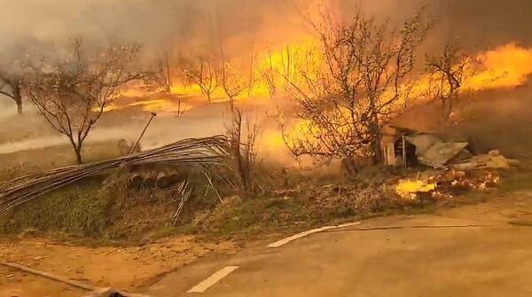 홍성 산불 이틀째인 3일 오후 잠잠해졌던 불길이 강풍이 불어 순식간에 다시 거세지며, 진화작업에 투입된 소방대원이 필사적으로 불을 끄고 있다. 2023.4.3. 연합뉴스
