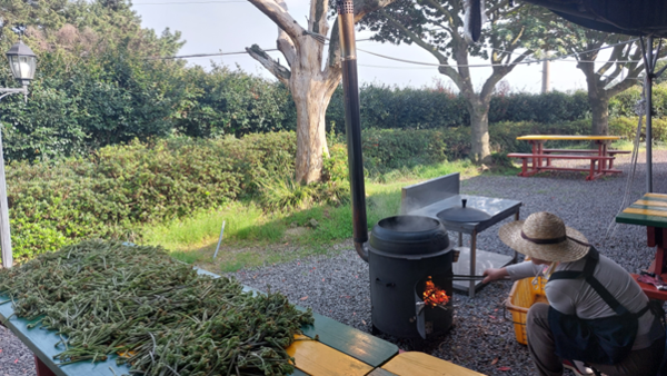 고사리는 말이 먹지 않을 만큼 쓴맛을 내는 독성이 조금 있지만 살짝 삶으면 없어진다. © 이봉수