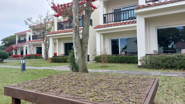 투숙객이 가마솥에 삶은 고사리를 툇마루에 널어 놓았다. © 이봉수