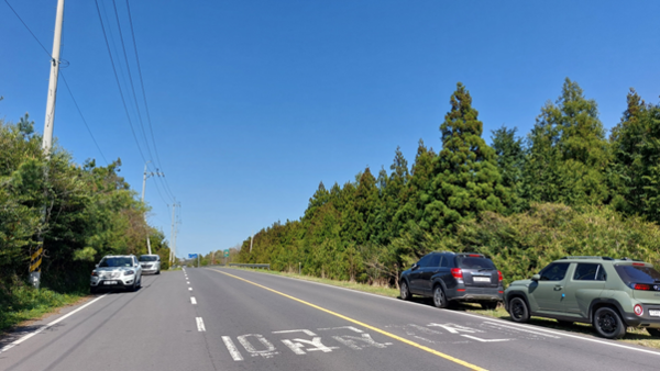 성산읍과 서귀포시내를 중산간지역을 통해 잇는 1119번 도로 주변에 고사리를 채취하는 사람의 차들이 주차해 있다. © 이봉수