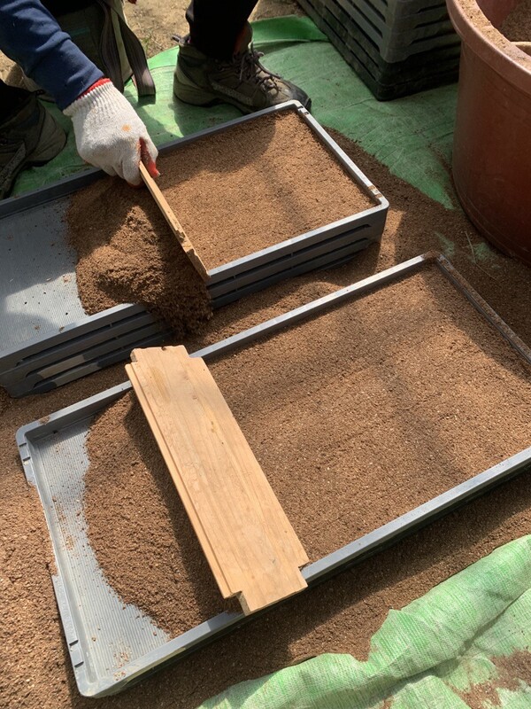 수작업으로 상토 깔기.