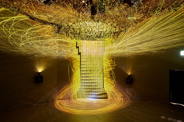 미디어아트 '우람한 나무'. 16대 대통령 당선 순간을 형상화했다. 