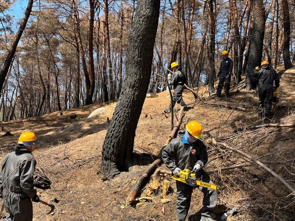 한국철도 강원본부 직원들이 8일 지난 4월 11일 강릉시 경포동 일원에서 발생한 산불 피해 현장을 방문해 화재 잔존물 제거 및 벌목 봉사를 하고 있다. 2023.5.8. 연합뉴스