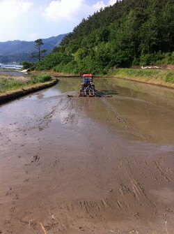 그의 트랙터가 순식간에 논을 갈아버렸다.