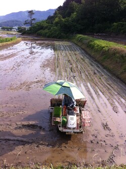 그의 낡은 이앙기
