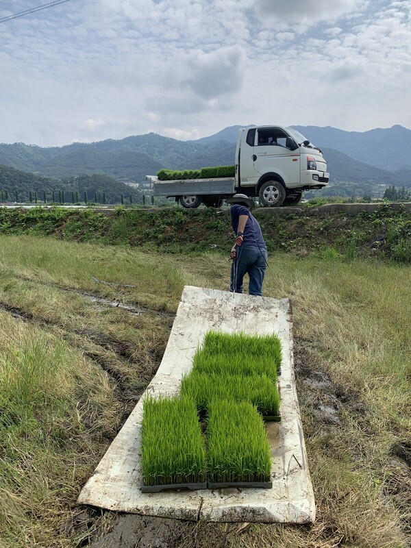 별수 없이 사람 힘으로 끌었다.