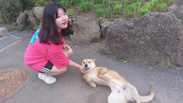 석 달 장기 투숙객 권나형 씨가 귀여워해주자 어리광을 부리는 유기견. 두 달 뒤 갈비뼈가 앙상하게 드러난 몰골로 다시 목격됐다. © 이봉수