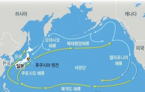 연합뉴스 그래픽