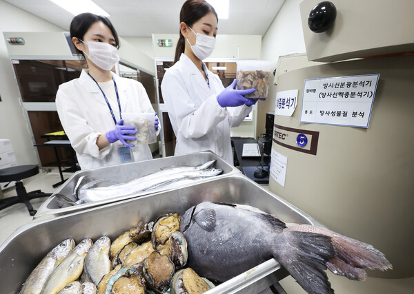 후쿠시마 원전 오염수 방류를 앞두고 15일 오후 경기도 수원시 권선구 경기도보건환경연구원에서 농수산물검사부 농수산물안전성검사팀 연구원들이 수산물 방사능 안전성 검사를 하고 있다. 2023.6.15. 연합뉴스