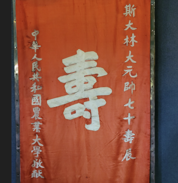 중국 농업대학이 요시프 스탈린 소련 공산당 서기장의 만수무강을 빌며 건넨 선물. 조지아 고리의 스탈린 박물관에 전시돼 있다.  김진호 에디터