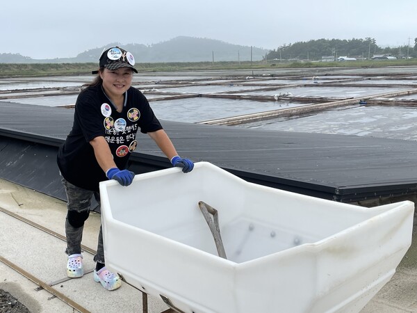 29일 전남 무안의 염전에서 소금 출하 작업을 하고 있는 최미선 씨. 13년째 이어온 이 일이 일본 핵오염수 투기로 없어질 지 모른다는 불안감이 들고 있다. 시민언론 민들레.