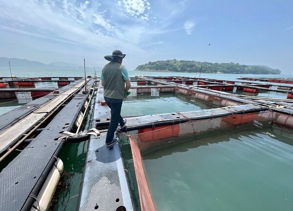지난 6일 전남 여수시 돌산읍 군내리 돌산항 인근 해상 가두리양식장에서 우성주 씨(50·한국수산업경영인 여수연합회장)가 작업을 하는 모습. 2023.7.11. 김성진 기자