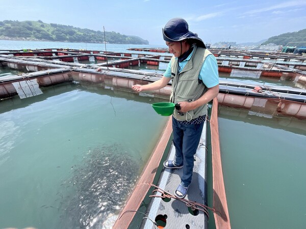 지난 6일 전남 여수시 돌산읍 군내리 돌산항 인근 해상 가두리 양식장에서 우성주 씨(50·한국수산업경영인 여수연합회장)가 치어에 대해 설명하고 있다. 2023.7.11. 김성진 기자