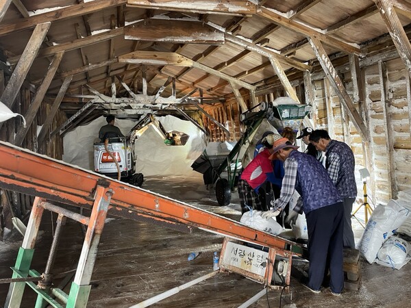 전남 무안군 운남면의 한 염전에서 지난 6월 29일 천일염 출하 작업을 하고 있는 주민들. 천일염 사재가가 벌어지면서 작업량이 늘었지만, 일본의 오염수 방류 뒤를 생각하면 살아갈 길이 아득하다.  2023.6.23. 민병선 에디터 