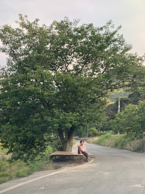 마을길 벚나무 아래 평상에서 할머니가 쉬고 계신다.