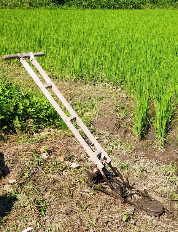 옛날 제초 도구.