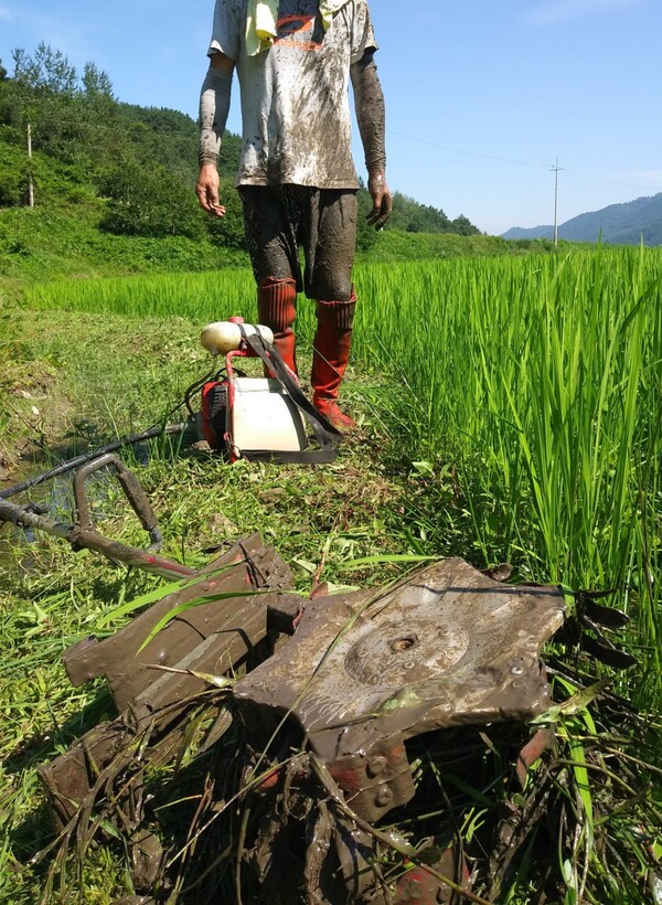 풀이 날에 휘감기고 진흙이 온몸에 튀어오른다.