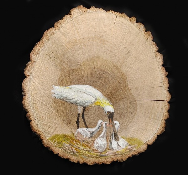 ‘저어새도 한반도의 평화를!’ (성효숙 작 / 참나무 조각, 아크릴물감) ▲작가의 말 “파주의 민통선 안에서 잘린 참나무에 멸종 위기 생명들을 그렸다.”