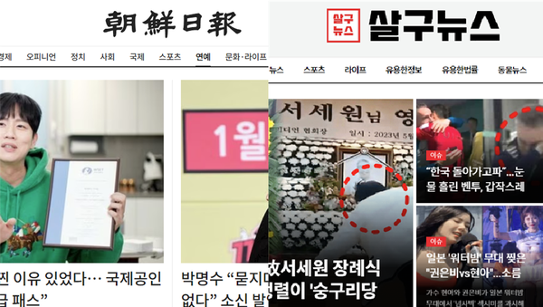 조선닷컴과 살구뉴스 홈페이지 갈무리 사진.