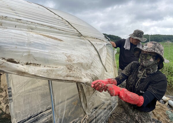 육군 32사단 장병들이 25일 충남 청양군 청남면 비닐하우스에서 폭우로 훼손된 비닐을 손질하고 있다. 2023.7.25 [육군 32사단 제공. 재판매 및 DB 금지]