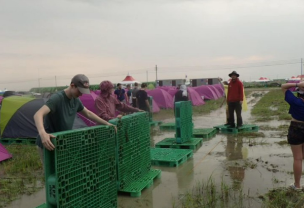 엘리자베스 미즈 트위터 계정