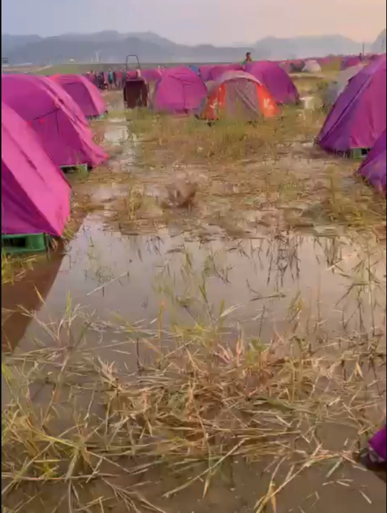 마크 파리스 트위터 계정