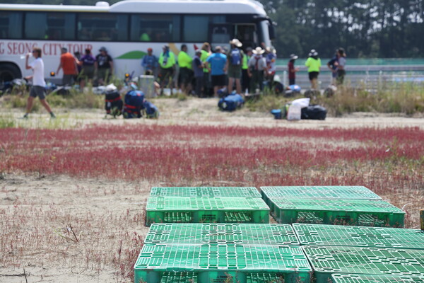 6일 조기 출영한 미국 대표단이 머물던 새만금 세계 스카우트 잼버리 야영지에 플라스틱 팔레트가 남겨져 있다. 행사 초기 물이 고인 상태에서 팔래트를 깔고 텐트를 설치해야 했다.  2023.8.6. 연합뉴스 