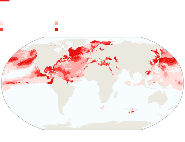 미국 국립해양대기청(NOAA)이 2023년 8월 7~13일 촬영 인공위성 사진을 토대로 작성한 세계 바다 산호 표백화 지도. 붉은 색깔이 짙을수록 표백화 정도가 더 높다.  한반도 주변바다도 가장 심각한 상태로 표시돼 있다.    이코노미스트 