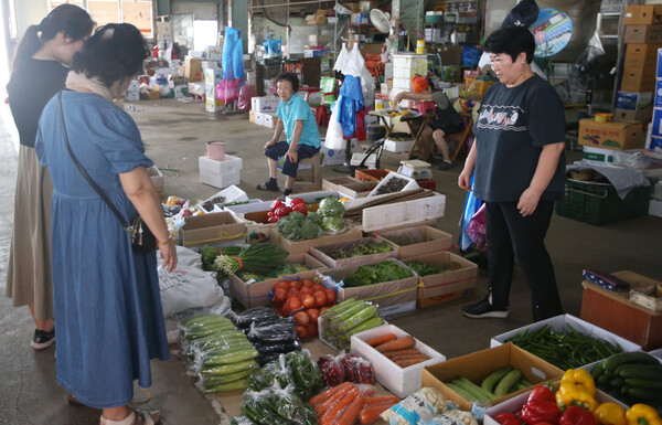 집중호우로 농산물 가격이 급등한 가운데 1일 오후 시민들이 청주시 흥덕구 봉명동의 농산물도매시장에서 채소 가격을 살피고 있다. 2023.8.1. 연합뉴스