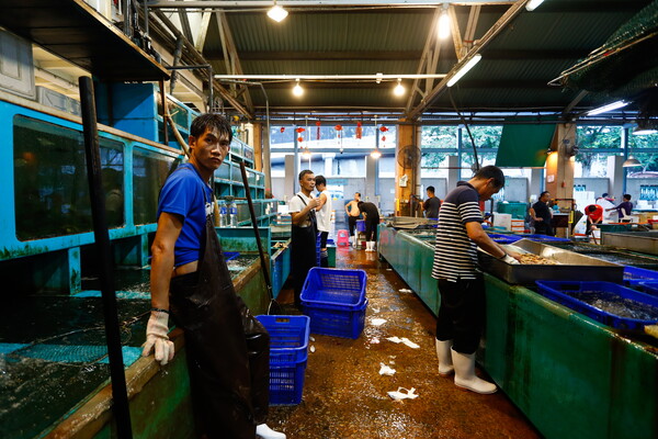 일본산 수산물에 대한 규제 조치가 시행되는 홍콩의 한 수산 시장에서 23일 노동자들이 일하고 있다. 전날 홍콩 정부는 일본이 후쿠시마 제1원자력발전소 오염수(일본 정부 명칭 '처리수') 해양 방류를 시작하는 24일부터 도쿄 등 일본 10개 도(都)·현(縣)에서 수산물을 수입해오는 것을 금지한다고 밝혔다. 2023.08.23. EPA 연합뉴스