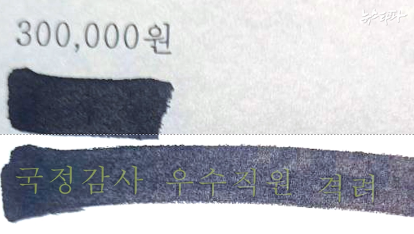 먹칠로 감춰져 있던 특수활동비 집행 사유.  ‘국정감사 우수직원 격려’라고 적혀 있다. 뉴스타파