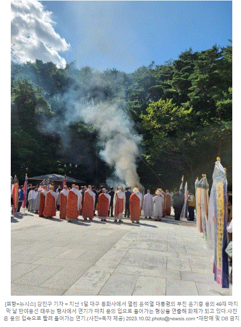 뉴시스 기사 화면 갈무리