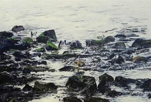 김용주 작 ‘나는 어디로 가야 하나’(캔버스에 아크릴) 아르떼숲 제공