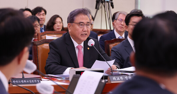 박진 외교부 장관이 10일 국회 외교통일위원회 국정감사에서 답변하고 있다. 2023.10.10. 연합뉴스