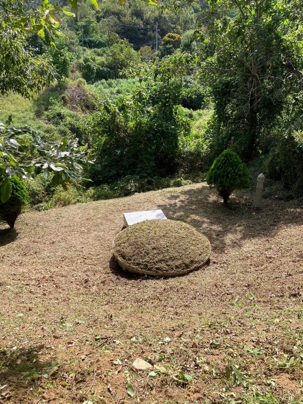 마을 어른의 부탁으로 산소를 벌초해드렸다.