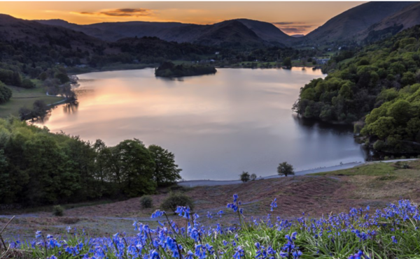 윌리엄 워즈워스의 고향 그라스미어(Grasmere)와 호반에 핀 꽃. 사진 오른쪽 위 마을에 그가 살던 집이 있다. © Lake District National Park 