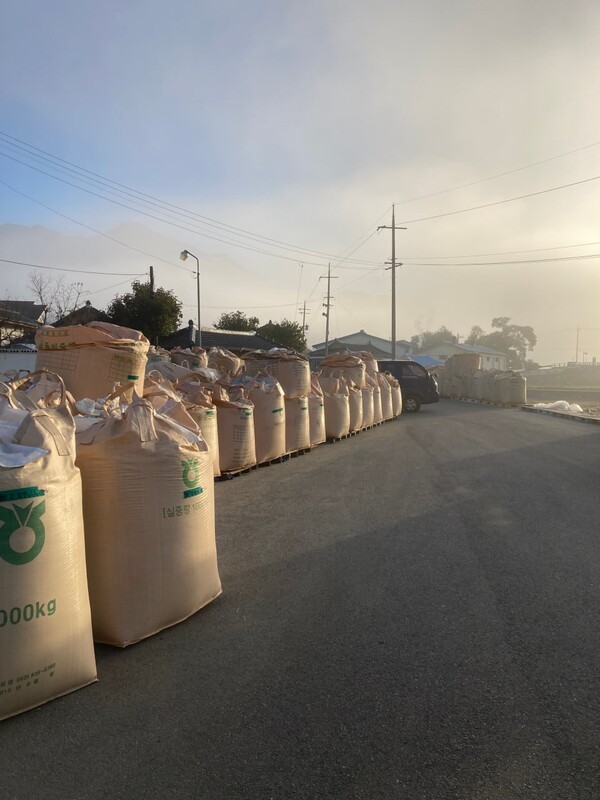 이른 아침 정미소 앞, 벼가 담긴 톤백들이 줄 서서 도정을 기다리고 있다.