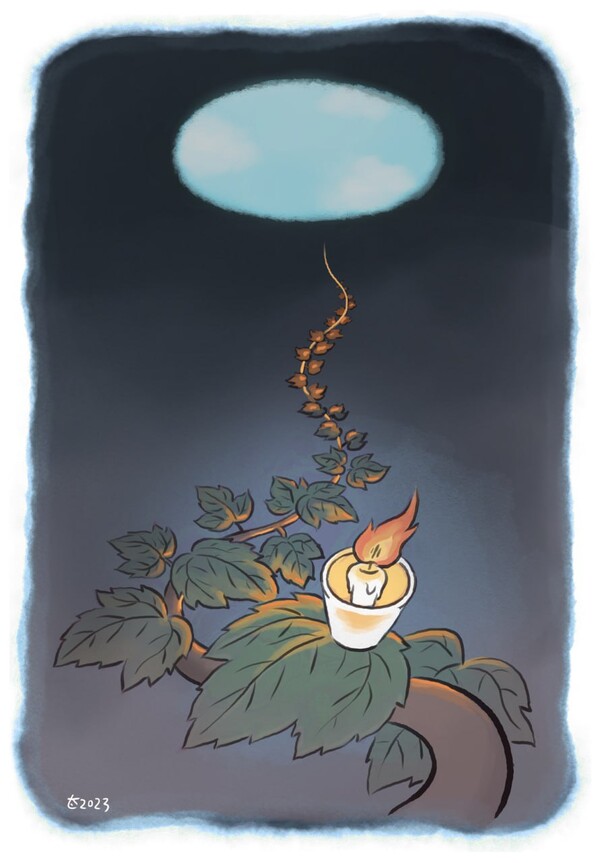 '뜯긴 자리에 끝끝내 자신을 남겨'  /  박순찬 화백의 담쟁이 그림