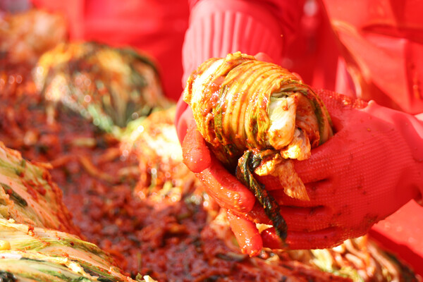 청주육거리종합시장상인회가 8일 청주시 상당구 석교동 육거리종합시장에서 '사랑의 김장 나눔 행사'를 열고 김치를 담그고 있다. 2023.11.8. 연합뉴스