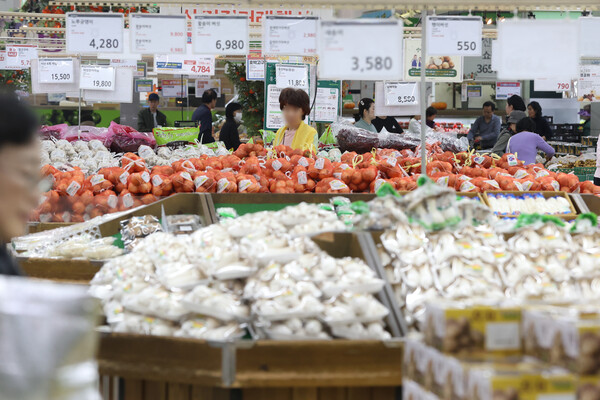 통계청의 '11월 소비자물가 동향'에 따르면 지난달 소비자물가지수는 지난해 같은 달보다 3.3% 올랐다. 사진은 이날 서울의 한 대형마트에서 장을 보는 시민들. 2023.11.2. 연합뉴스