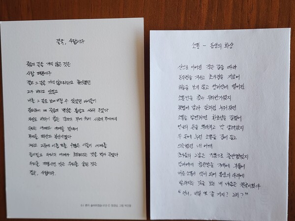 강미숙 시민소셜칼럼니스트 제공