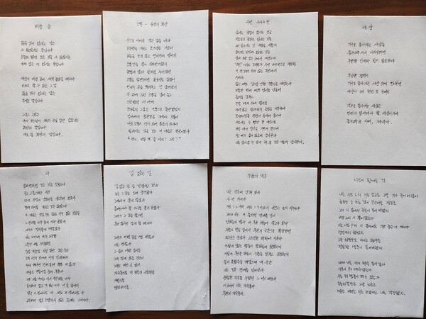 강미숙 시민소셜칼럼니스트 제공