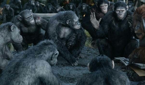 영화 '혹성탈출(The Planet of the Apes)'에서 침팬지들이 모여 회의를 하는 장면. 핀터레스트 사진.
