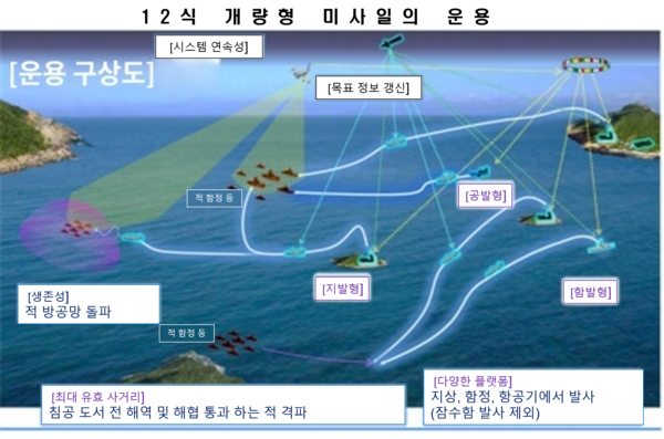 12식  개량형 미사일은  지상, 수상, 공중, 수중에서 공격이 가능하다. 그림은 일본 방위성의 12식 개량형 미사일의 운용 예상도이다. 이 그림에서 잠수함 발사형은 나와 있지 않다.