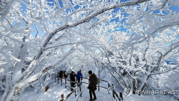 덕유산 향적봉의 설경. 케이블카로 오를 수 있게 된 이후 인파가 몰려들어 등산로 훼손이 심각하다. 연합뉴스 자료사진