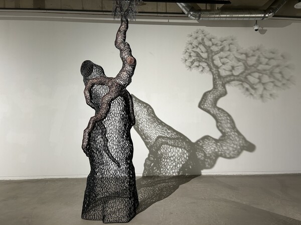 조각가 이길래의 소나무 작품. 