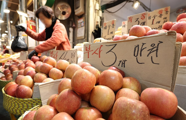 설 명절을 앞두고 과일과 채소 등 농산물 가격이 급등했다. 지난 4일 통계청 국가통계포털에 따르면 1월 농축수산물 소비자물가지수는 122.71로 지난해 동월보다 8.0% 올랐다. 과일 품목별 상승률은 사과가 56.8%를 기록했고 복숭아 48.1%, 배 41.2%, 귤 39.8%, 감 39.7%, 밤 7.3% 등 순이었다. 사진은 4일 오전 서울 동대문구 경동시장에서 상인들이 사과를 팔고 있다.  연합뉴스 