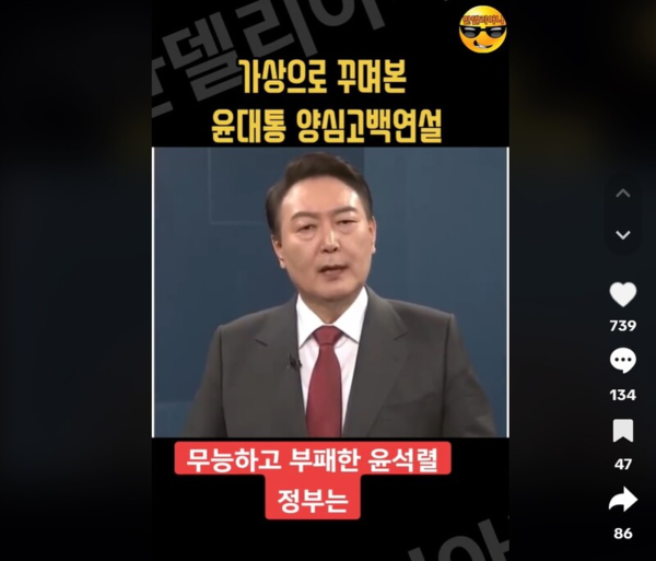 윤석열 대통령 풍자 틱톡 영상